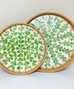 Bộ 2 Khay Tròn Đan Coivibes Khảm Xà Cừ Họa Tiết Lá Xanh